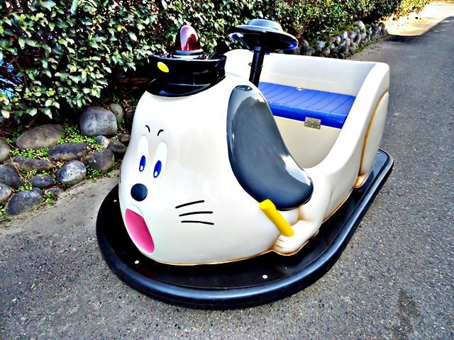 いぬ