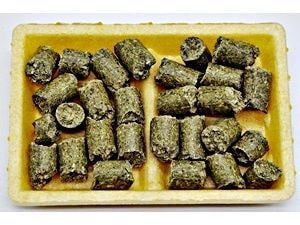 草食動物